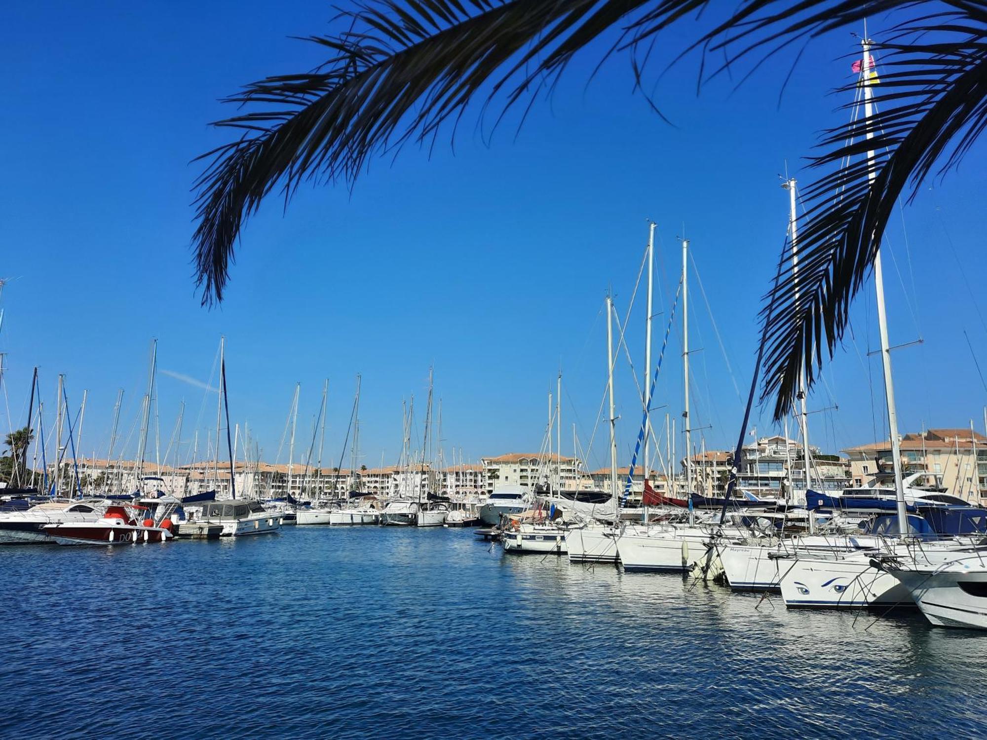 Coeur Marina Climatise Terrasse Parking Leilighet Fréjus Eksteriør bilde